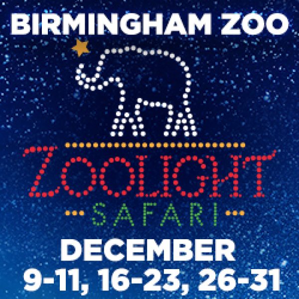 Zoolight Safari Birmingham Mommy