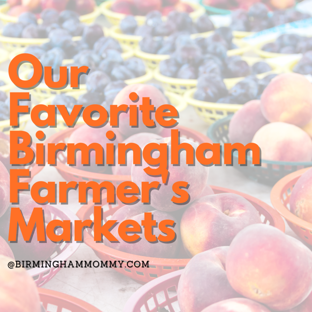 2025 Birmingham Area Summer Camp Guide - Birmingham Mommy